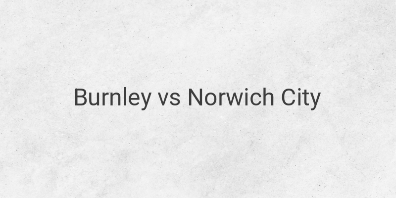 Link Live Streaming Liga Inggris Burnley vs Norwich Malam ini