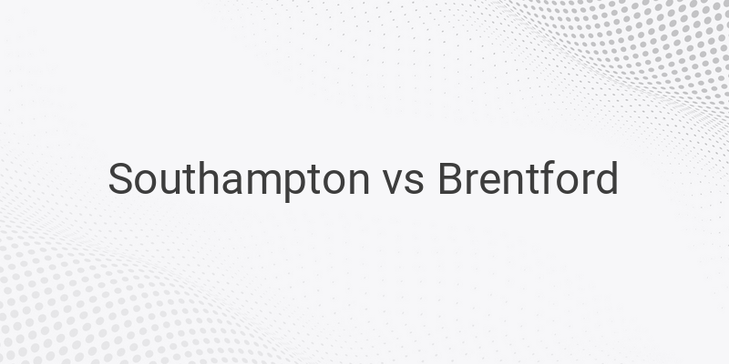 Inilah Link Live Streaming Liga Inggris Southampton vs Brentford