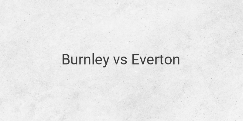 Live Streaming Liga Inggris Burnley vs Everton di Mola TV