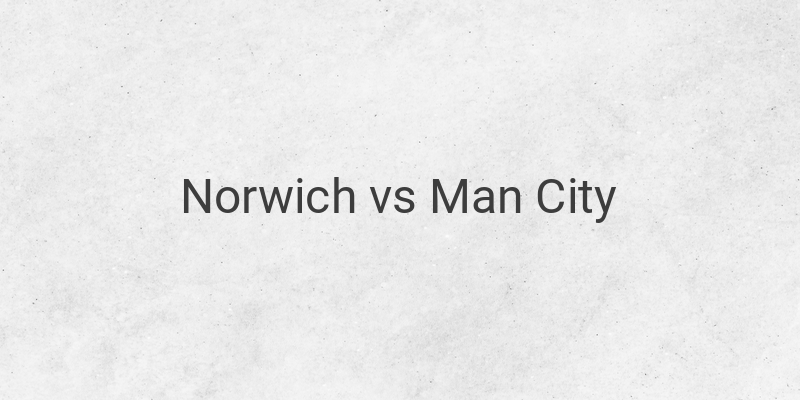 Live Streaming Liga Inggris Norwich vs Man City di Mola TV