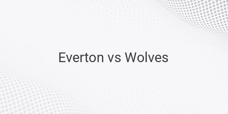 Inilah Link Live Streaming Liga Inggris Everton vs Wolves