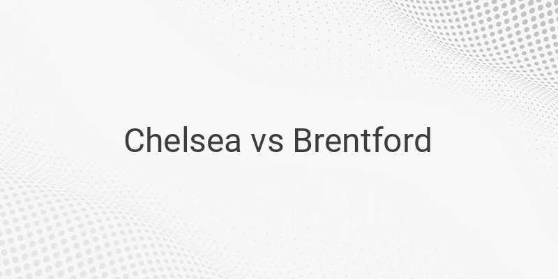 Live Streaming Liga Inggris Chelsea vs Brentford di Mola TV