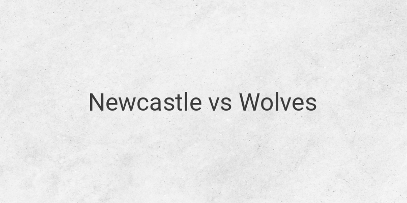 Link Live Streaming Liga Inggris Newcastle vs Wolves Malam Ini