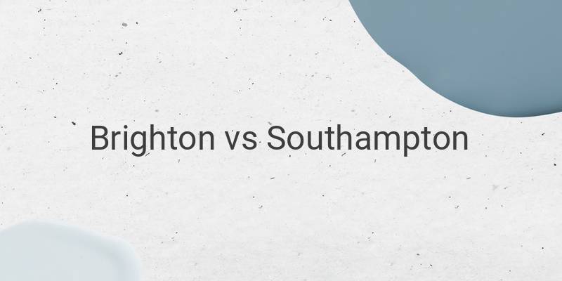 Live Streaming Liga Inggris Brighton vs Southampton di Mola TV